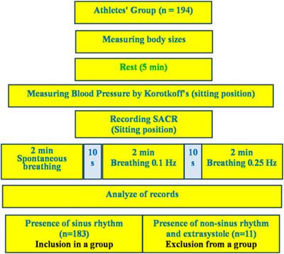 Cardiorespiratory dynamics during respiratory maneuver in athletes